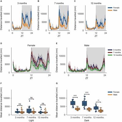 Longitudinal home-cage automated assessment of climbing behavior shows sexual dimorphism and aging-related decrease in C57BL/6J healthy mice and allows early detection of motor impairment in the N171-82Q mouse model of Huntington’s disease